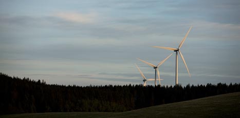 Vestas wind turbines